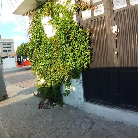 Parra Virgen Hotel Adjuntas Eksteriør billede
